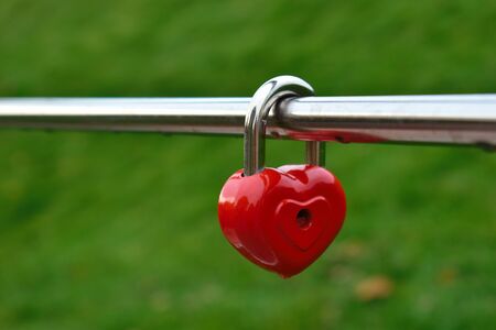 The tradition of hooking a castle on a fence. Wedding lock on happiness. Locked love.の写真素材