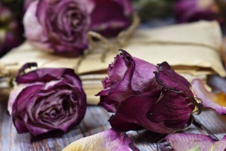 Withered buds and rose leaves. Decorative violet flowers on the table. Vintage floral wallpaper....