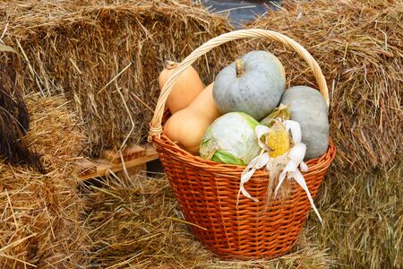 Different vegetables in the scenery of the store. Autumn harvest of vegetables.の写真素材
