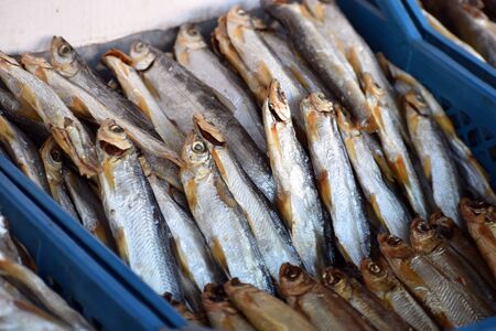 The choice of fish in the market.の写真素材