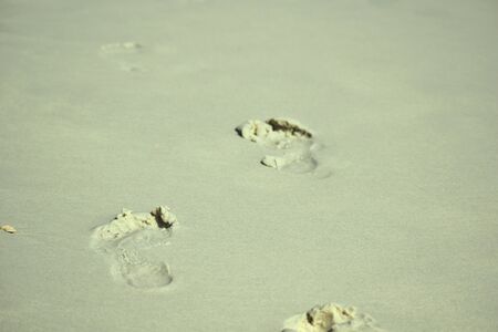 Vacations on the ocean.の写真素材