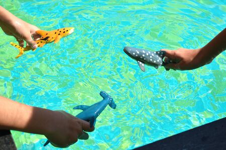 Happy summer time. Children's vacation at sea. Games in the pool. Floating small toys.