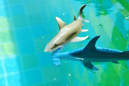 Happy summer time. Children's vacation at sea. Games in the pool. Floating small toys.の写真素材