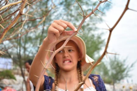 Girl got stuck on prickly thorn. Sharp needles on tree. Dense spiny shrub with thorns. The child cut his finger autdoor. Roseの写真素材