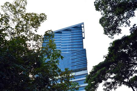 Park with a pond in Asia. Beautiful Bangkok. The building in the vegetation. A green city.