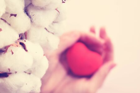 Romantic love card. Heart and Valentine's day. holiday on February 14. Wedding greeting card.の写真素材