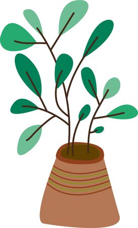 Caring for plants. Home flower. Painted green plantの写真素材