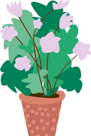 Caring for plants. Home flower. Painted green plantの写真素材