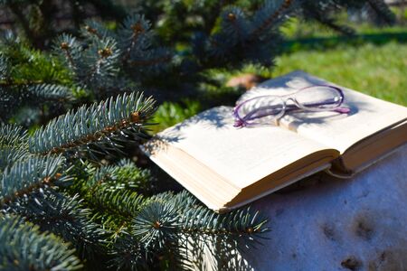 Paper book on the stone in a coniferous forest. reading in natureの写真素材