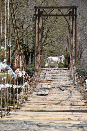 a young man leads horses across the bridge. farmer with his horses in nature. tourist trips on horseback.の写真素材