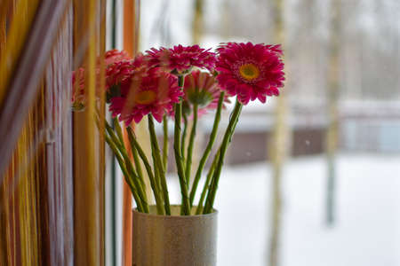 pink gerberas in a vase on the window in the house. spring bouquet of flowers on the windowsillの写真素材