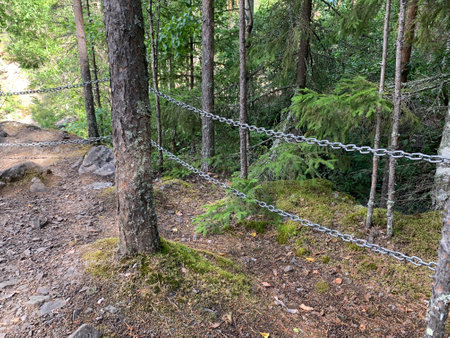 chain fencing in the forest on a mountain path in the reserve. closed road in the parkの写真素材