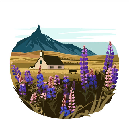 Lupine field with house and mountain in the background. vector illustration.のイラスト素材