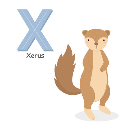 Letter X and a cute cartoon xerus. Children's English alphabet. It is suitable for the design of postcards, books, leaflets, banners, birthday invitations. Colorful vector illustrationのイラスト素材