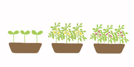 Spring Set of potted Plants, flower seedlings, Flat illustrationのイラスト素材