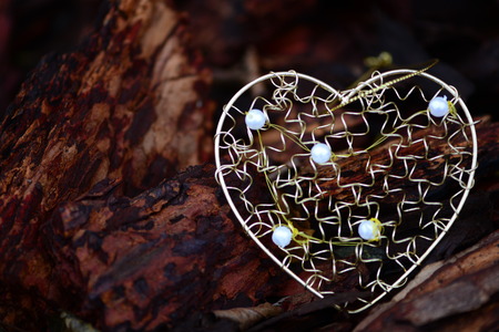 Golden decorative heart shape