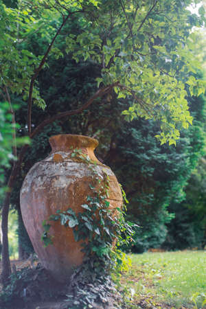 Big jug in the garden , green ,summerの写真素材