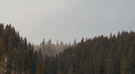 Winter, high mountains with snow white peaks.  Location place Carpathian, Vatra Dornei, Bucovina, Suceava, Romania, Europe.の写真素材