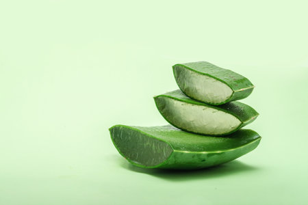 ORGANIC, NATURAL Aloe vera slice on green background, with copy space. (Aloe barbadensis Mill.,Star cactus, Aloe, Aloin, Jafferabad or Barbados) a very useful herbal medicine for skin and hair careの写真素材
