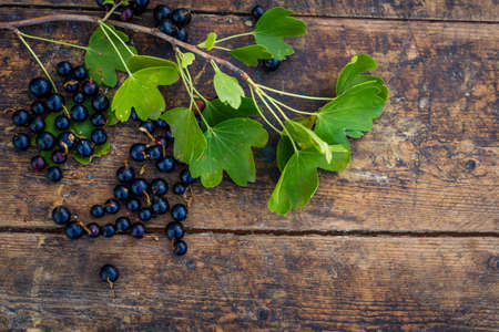 Black currant in a bowl isolated on a wooden background. Black currant berries. top viewの写真素材