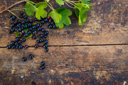 Black currant in a bowl isolated on a wooden background. Black currant berries. top viewの写真素材