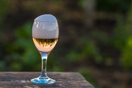 glass of champagne with foam, vineyard, Toasting with four glasses of Champagne in the vineyard, at sunset, rose, Silhouette, Cropped Hands, raise a toast, Cheers, rural, peasantryの写真素材