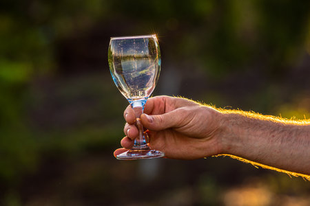 Toasting with two glasses of Champagne in the vineyard, Toasting with four glasses of Champagne in the vineyard, at sunset, rose, Silhouette, Cropped Hands, raise a toast, Cheers, rural, peasantryの写真素材
