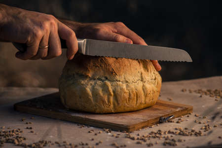 Fresh baked bread, Homemade sourdough Close up shot of bread and sackcloth, Loaves Traditional Cut a...