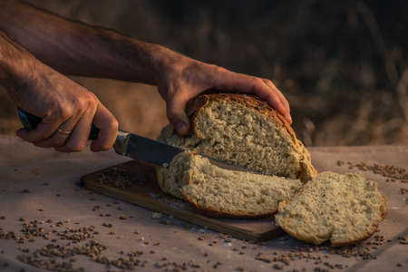 Fresh baked bread, Homemade sourdough Close up shot of bread and sackcloth, Loaves Traditional Cut a loaf of artisanal.の写真素材