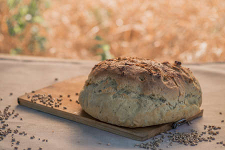 Fresh baked bread, Homemade sourdough Close up shot of bread and sackcloth, Loaves Traditional Cut a...