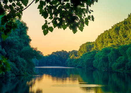 Sunny summer morning on meadow near river. Scenic rural landscape.Green background. forest misty...