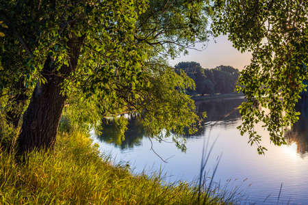 Sunny summer morning on meadow near river. Scenic rural landscape.Green background. forest misty...