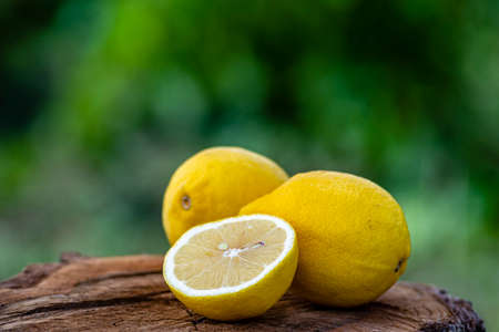 Fresh organic lemons Summer fruit, old wood table, Still Life, green nature background wood stump...