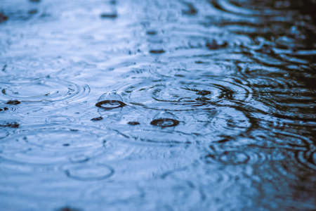 rain puddle circles, aqua abstract background, texture autumn water