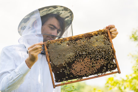 Beekeeper holding frame Background texture pattern section wax Bees work honeycomb from bee hive...