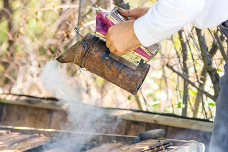 Beekeeper holding frame Background texture pattern section wax Bees work honeycomb from bee hive filled golden honey Concept apiculture apiary Inspectsの写真素材