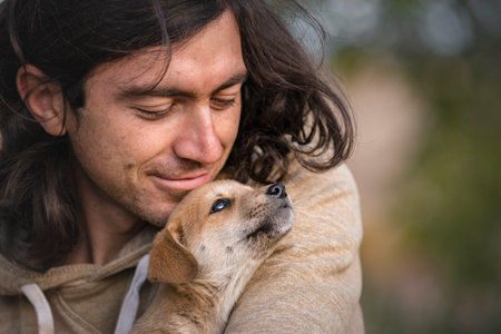 puppy dog sitting in the arms Beautiful happy reddish orange havanese Portrait cute autumn concept, outdoor young brown golden natural background sunset stray dog.の写真素材