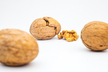 Walnut with leaf isolate. Walnuts peeled and unpeeled with leaves on white. Walnut side view. With clipping path.の写真素材