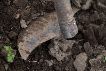sustainable organic agriculture;hoeing soil , men tilling the orchard land with a hoe Weeding...