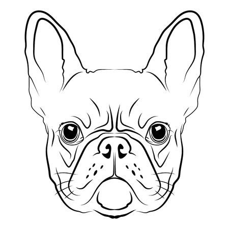 French Bulldog head icon in white for a mascot and T-shirt graphic.のイラスト素材