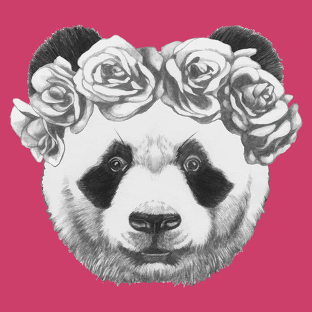 Hand drawn portrait of Panda with roses. Vector isolated elements.のイラスト素材