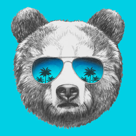 Hand drawn portrait of Bear with sunglasses. Vector isolated elements.のイラスト素材