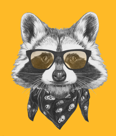Original drawing of Raccoon with glasses and scarf. Isolated on colored background.の写真素材