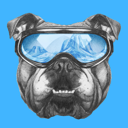 Portrait of English Bulldog with ski goggles. Hand drawn illustration.の写真素材