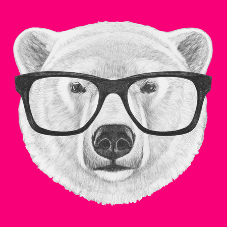 Portrait of Polar Bear with glasses. Hand drawn illustration.の写真素材
