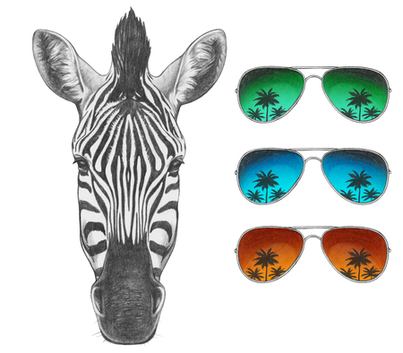 Portrait of Zebra with mirror sunglasses. Hand drawn illustration.の写真素材