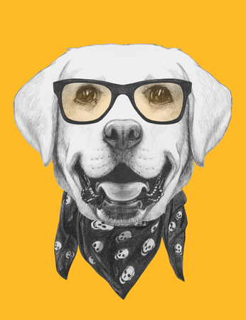 Portrait of Labrador with glasses and scarf. Hand drawn illustration.の写真素材