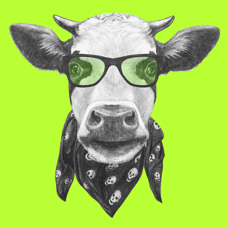 Portrait of Cow with glasses and scarf. Hand drawn illustration.の写真素材