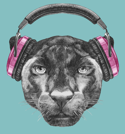Portrait of Panther with headphones. Hand drawn illustration.の写真素材