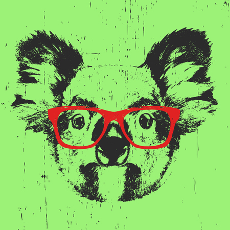 Portrait of Koala with glasses. Hand drawn illustration. Vector.のイラスト素材